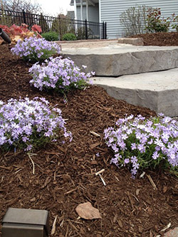 Landscape Contractor Schenectady, NY