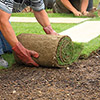 Lawn Installation